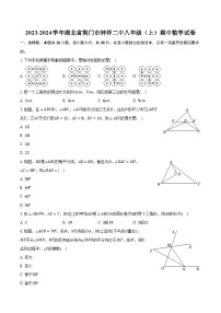 2023-2024学年湖北省荆门市钟祥二中八年级（上）期中数学试卷（含解析）