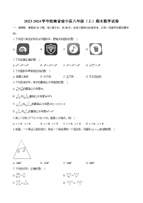 2023-2024学年海南省琼中县八年级（上）期末数学试卷（含解析）