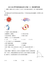 2023-2024学年吉林省延边州九年级（上）期末数学试卷（含解析）