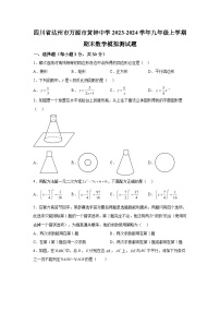 四川省达州市万源市黄钟中学2023-2024学年九年级上学期期末数学模拟测试题（含解析）