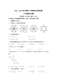 甘肃省定西市安定区2023-2024学年八年级上学期期末数学试题（含解析）