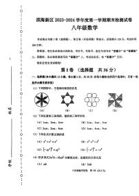 天津市滨海新区2023-2024学年八年级上学期数学期末测试卷