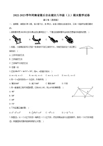 2022-2023学年河南省商丘市永城市八年级（上）期末数学试卷（含解析）