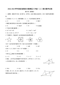 2022-2023学年陕西省商洛市商南县八年级（上）期末数学试卷（含解析）