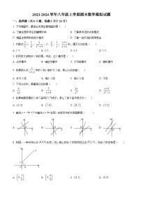 江苏省盐城市亭湖区2023-2024学年八年级上学期期末数学模拟试题