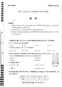 河南省新乡市2023-2024学年九年级期末数学试题（含答案）