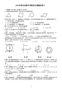 2024湖北新中考数学元调模拟试卷二