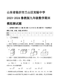 山东省临沂市兰山区实验中学2023-2024鲁教版九年级数学期末模拟测试题