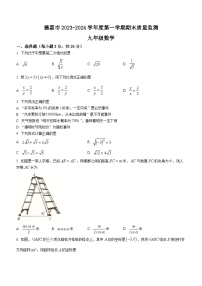 吉林省长春市德惠市2023-2024学年九年级上学期期末数学试题