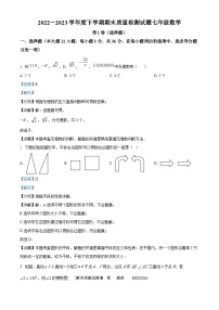 山东省临沂市兰陵县2022-2023学年七年级下学期期末数学试题（解析版）