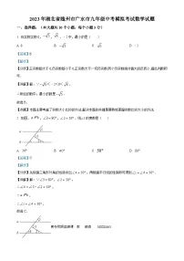 2023年湖北省随州市广水市中考模拟数学试题（解析版）