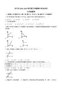 江西省景德镇市乐平市2022-2023学年七年级下学期期中数学试题