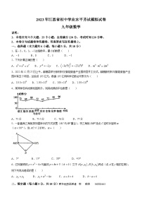 江西省九江市2022-2023学年九年级下学期期中数学试题