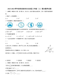 2023-2024学年吉林省吉林市永吉县八年级（上）期末数学试卷（含解析）