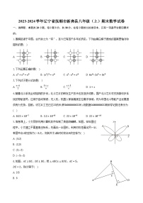 2023-2024学年辽宁省抚顺市新宾县八年级（上）期末数学试卷（含解析）