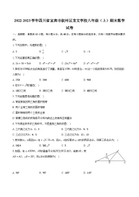 2022-2023学年四川省宜宾市叙州区龙文学校八年级（上）期末数学试卷（含解析）