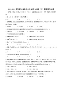 2022-2023学年浙江省杭州市上城区七年级（上）期末数学试卷（含解析）