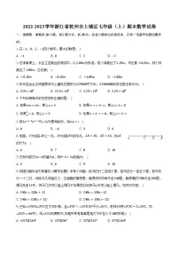 2022-2023学年浙江省杭州市上城区七年级（上）期末数学试卷（含解析）