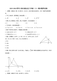 上海市嘉定区2023-2024学年八年级上学期期末数学试卷