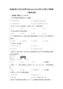 河南省周口市沈丘县2023-2024学年七年级（上）期末数学试题（含解析）