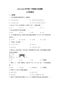 河南省周口市沈丘县槐店镇四中2023-2024学年七年级（上）期末数学试题（含解析）