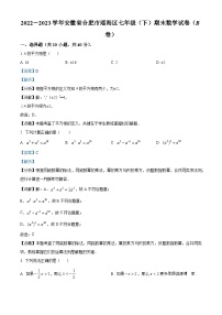 安徽省合肥市瑶海区2022-2023学年七年级下学期期末数学试题（B卷）（解析版）