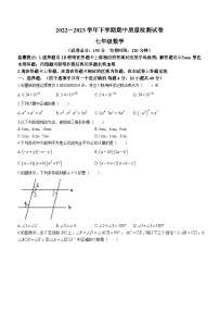 福建省三明市宁化县2022-2023学年七年级下学期期中数学试题