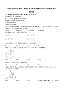 广东省河源市紫金县柏埔中学2022-2023学年九年级下学期开学考试数学试题