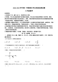 广东省深圳市罗湖区2022-2023学年八年级下学期开学考试数学试题(无答案)