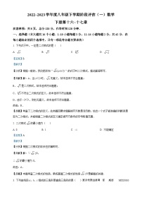 河北省邢台市平乡县第五中学2022-2023学年八年级下学期月考数学试题（解析版）