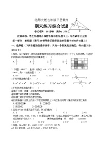 2022--2023学年北师大版七年级下册数学期末练习综合试题
