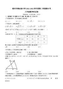 福建省福州华南中学2021-2022学年八年级下学期期末数学试题(无答案)