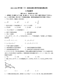 安徽省合肥市肥西县2021-2022学年八年级下学期期末数学试题