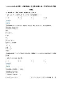 广东省河源市龙川县岩镇中学2022-2023学年七年级下学期开学考试数学试题（解析版）