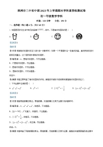 湖南省株洲市第二中学初中部2022-2023学年七年级下学期期末数学试题（解析版）