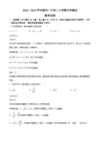 广东省惠州市第一中学2022-2023学年九年级上学期开学测试数学试题（解析版）