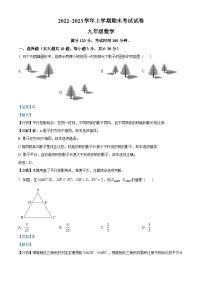 河南省平顶山市汝州市2022-2023学年九年级上学期期末数学试题（解析版）