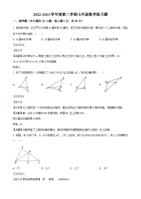 山东省枣庄市峄城区峄城区吴林街道中学2022-2023学年七年级下学期5月月考数学试题（解析版）