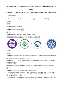 2023年湖北省武汉市洪山区华中科技大学附中中考模拟数学试题（解析版）