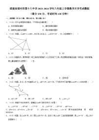 福建省福州市第十八中学2023-2024学年八年级上学期数学开学考试模拟试题