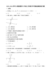 2023-2024学年人教版八年级上学期开学考摸底数学模拟练习题