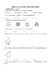 黑龙江省哈尔滨市德强学校2023-2024学年九年级上学期开学测试数学试题(无答案)