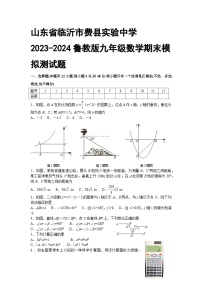 山东省临沂市费县实验中学2023-2024学年鲁教版九年级数学上册期末模拟测试题