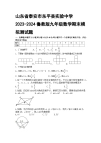 山东省泰安市东平县实验中学2023-2024学年鲁教版九年级数学上册期末模拟测试题