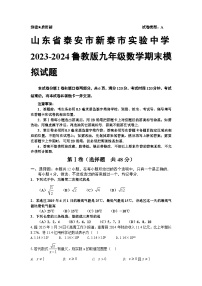 山东省泰安市新泰市实验中学2023-2024学年九年级上学期鲁教版数学期末模拟试题