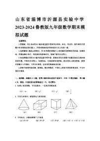 山东省淄博市沂源县实验中学2023-2024学年鲁教版九年级数学上册期末模拟试题