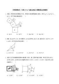 专项17.8 勾股定理之垂美四边形模型 2024年鲁教版（五四制）九年级数学专题培训