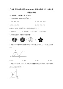 广东省深圳市龙华区2023-2024学年人教版八年级上学期期末数学模拟试卷