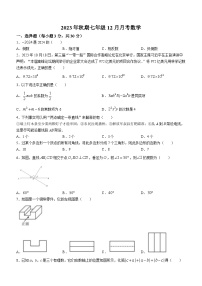 河南省南阳市第二十一学校2023-2024学年七年级上学期12月月考数学试题