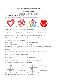 福建省龙岩市长汀县2024届九年级上学期期中质量检查数学试卷(含答案)